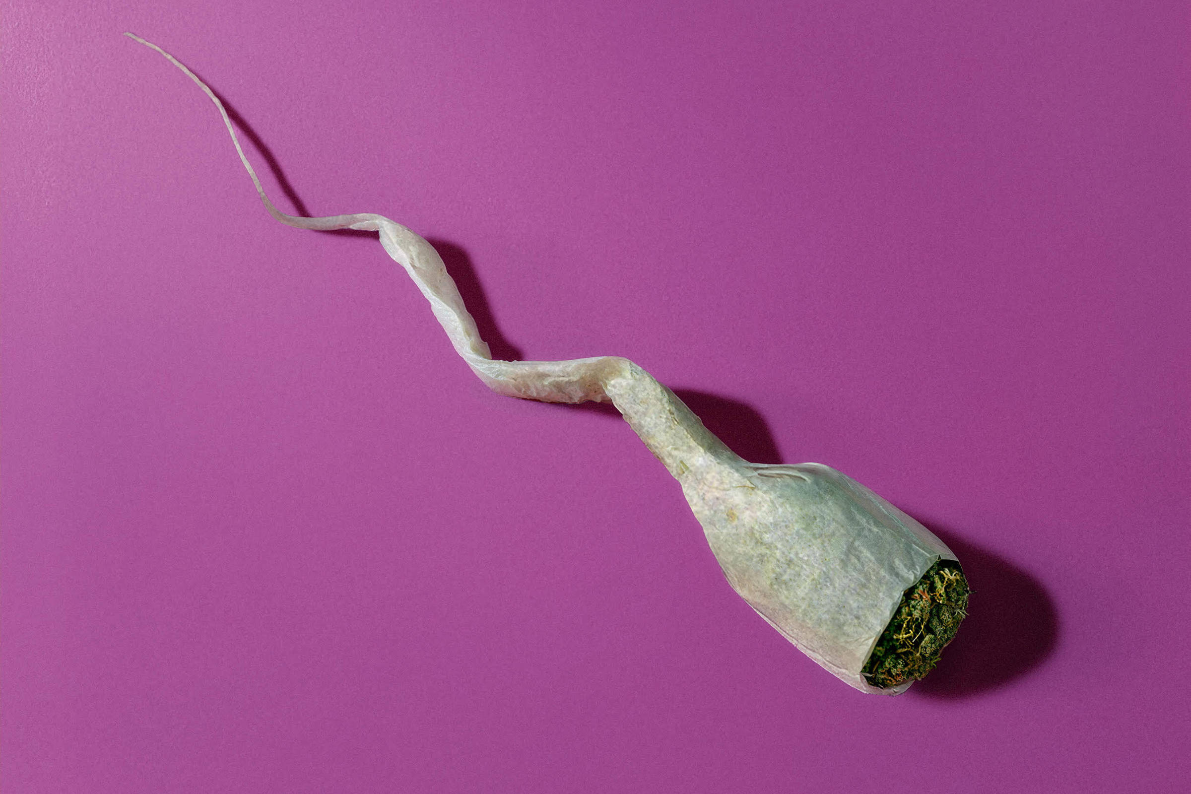 A imagem mostra um objeto que se assemelha a um espermatozoide, com uma parte mais larga na extremidade inferior e uma cauda longa e fina. O fundo da imagem é de cor roxa, destacando o objeto.