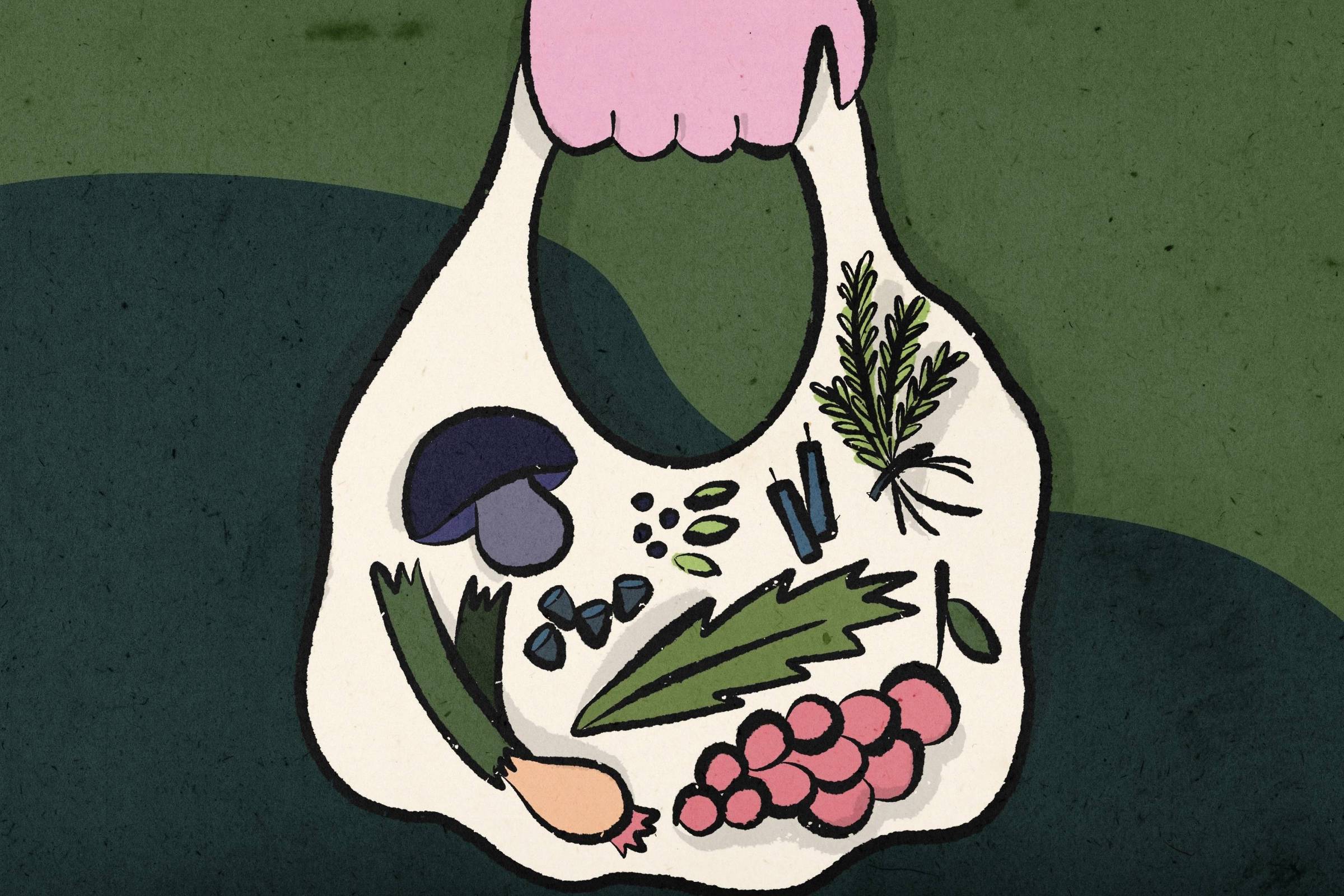 A imagem mostra uma sacola de compras com uma variedade de alimentos. Dentro da sacola, há um cogumelo, folhas verdes, ramos de ervas, uma cebola, uvas e pequenos frutos. A sacola é de cor clara e a mão que a segura é de cor rosa. O fundo da imagem é verde escuro, criando um contraste com os itens na sacola.