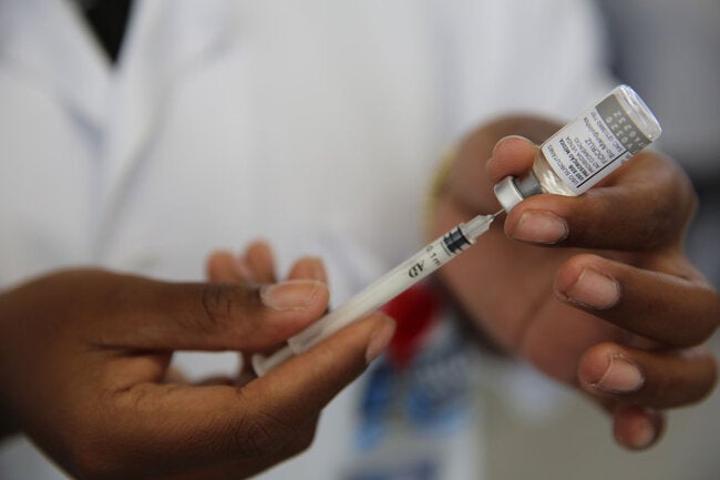 Paho emite novo alerta epidemiológico em meio a crescentes casos de febre amarela nas Américas - Paho/que