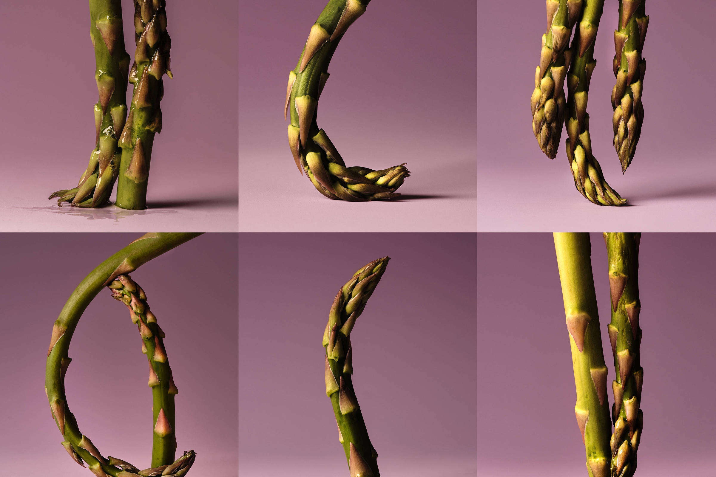 Aspargo faz bem para o intestino e para a visão - 02/05/2025 - Equilíbrio