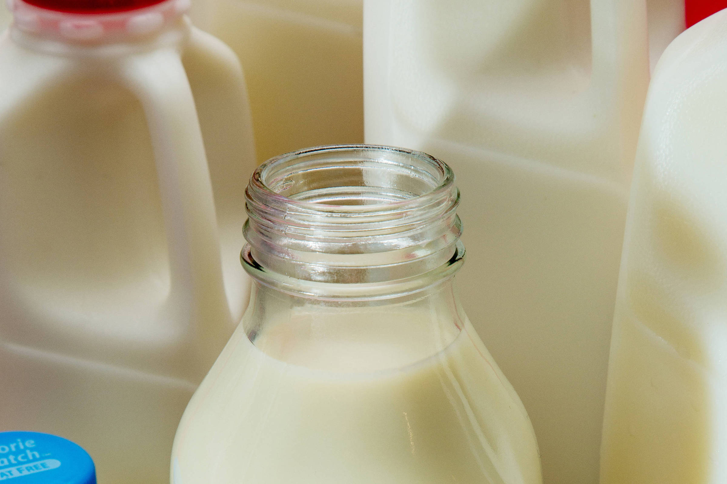 A imagem mostra várias garrafas de leite, com uma garrafa de vidro no centro. As garrafas plásticas têm tampas de cores diferentes: azul e vermelho. O fundo é composto por mais garrafas de leite, criando uma composição visual que destaca a garrafa de vidro.
