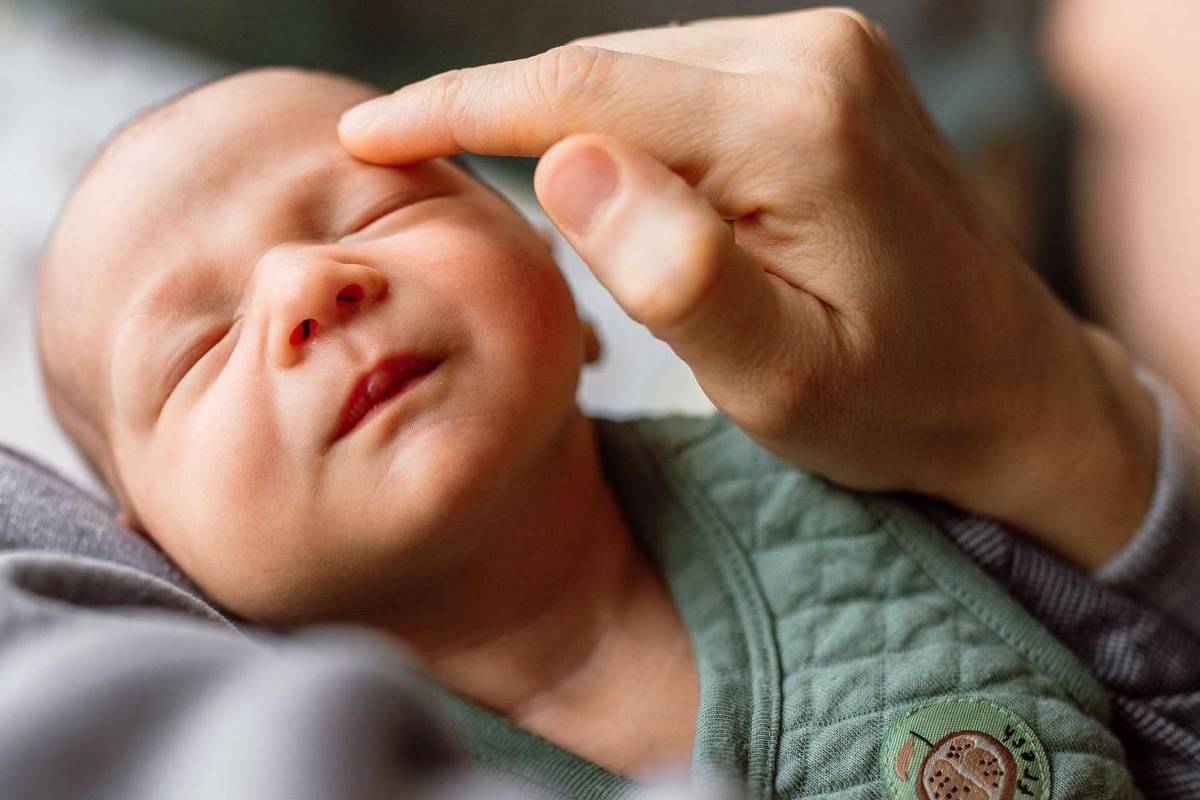 Primeira bactéria da vida pode nos manter saudáveis - 05/06/2025 - Equilíbrio e Saúde