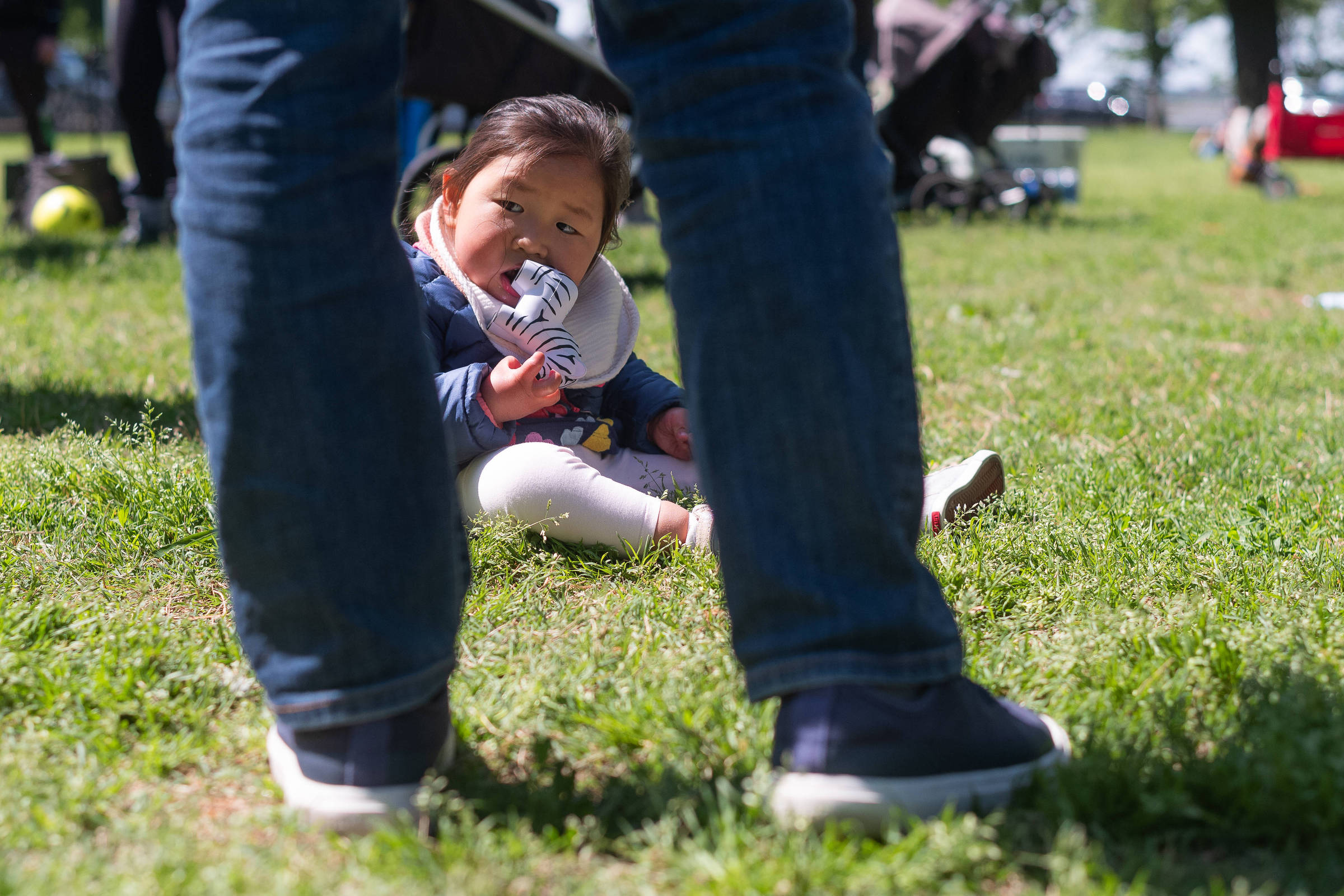 Uma criança pequena está sentada na grama em um parque, segurando um objeto na boca. A criança tem cabelo escuro e usa uma blusa azul. Na frente dela, há pernas de um adulto, que está de pé. Ao fundo, é possível ver outras pessoas e objetos típicos de um parque, como carrinhos de bebê e bolas.