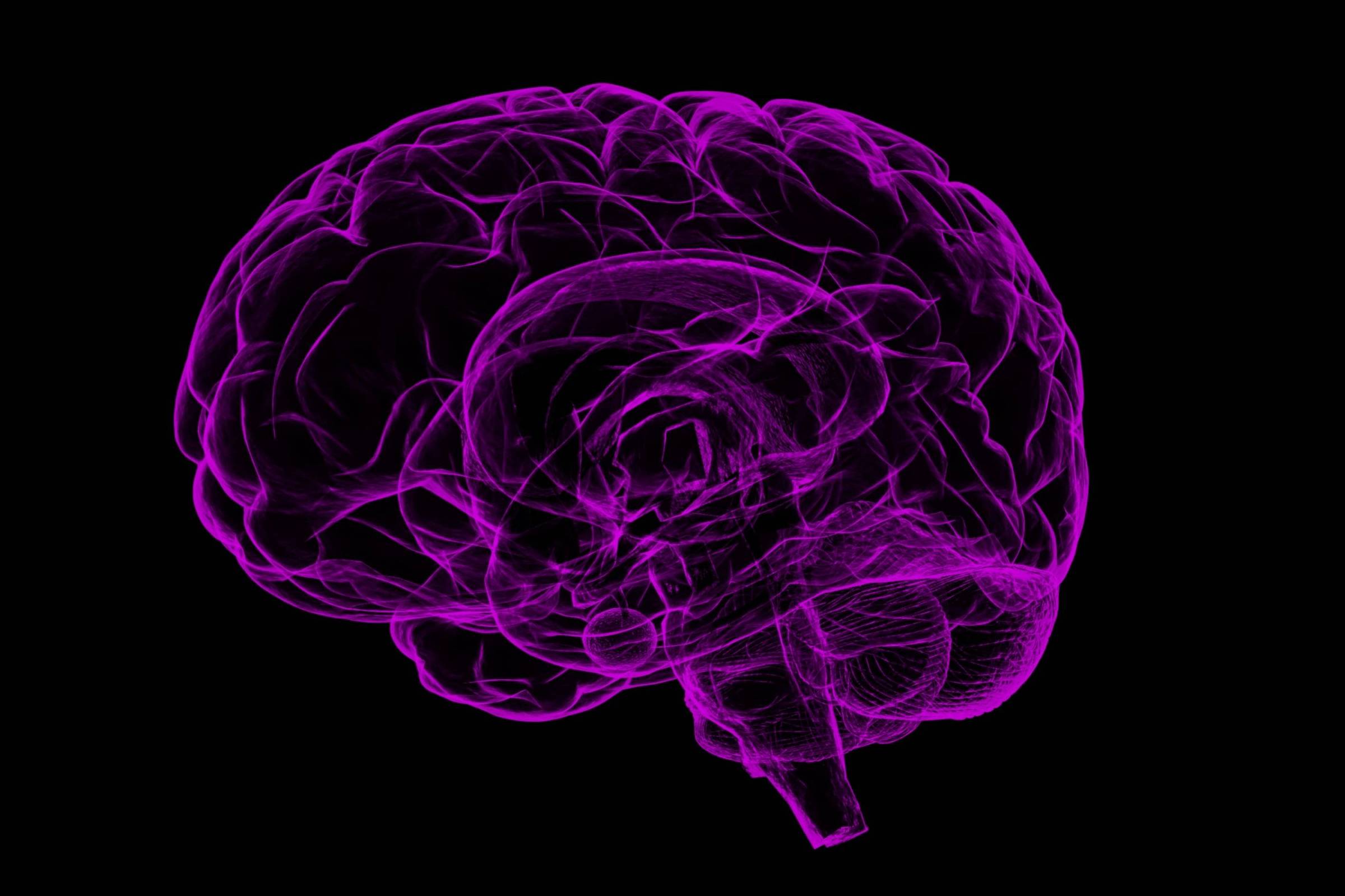 Dor crônica: pesquisa revela novo alvo para tratamentos - 03/07/2025 - Equilíbrio e Saúde