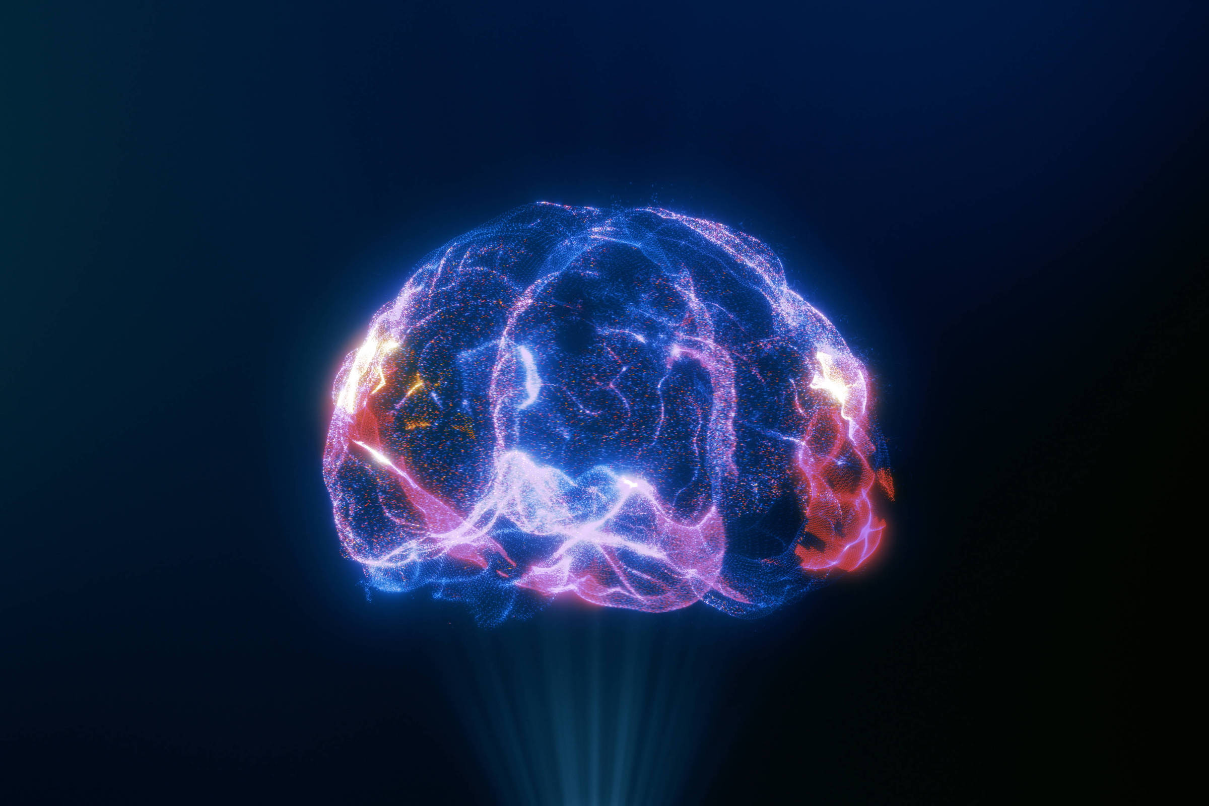 Movidos pelo cérebro - 03/07/2025 - Suzana Herculano-Houzel