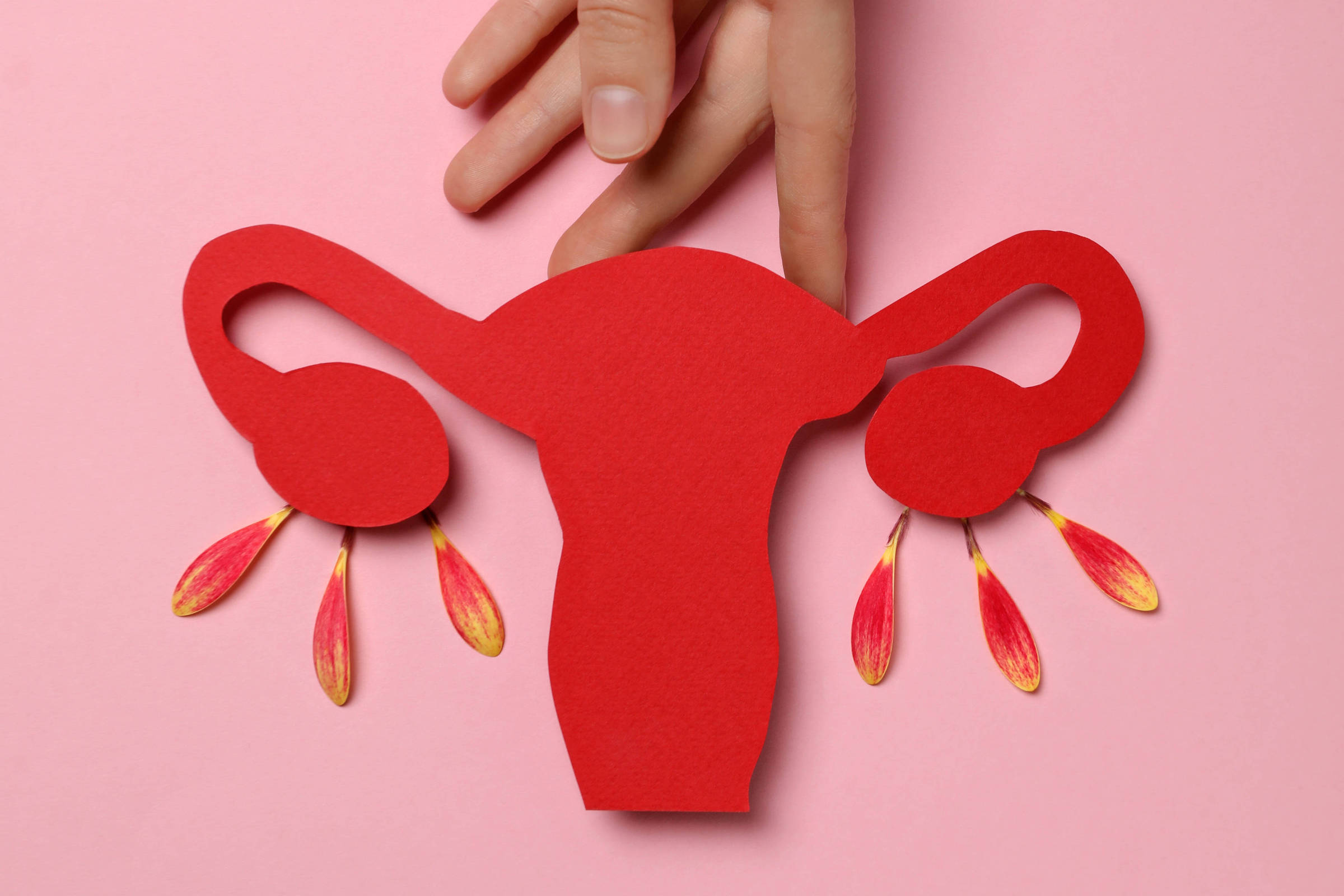 A imagem mostra uma mão segurando uma figura de papel em forma de útero, que é vermelha. O fundo é rosa, e a figura tem detalhes que representam as trompas de falópio e ovários, com elementos que parecem gotas ou flores em cores amarelo e vermelho. A composição é artística e simbólica.