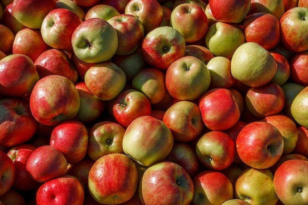 Comer uma maçã por dia realmente faz bem à saúde? - 02/07/2025 - Equilíbrio