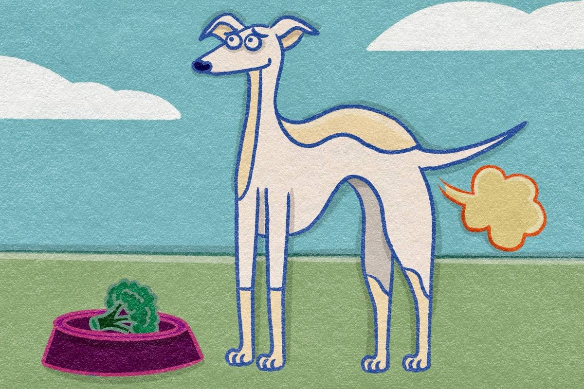A imagem mostra um cachorro estilizado, com um corpo longo e esguio, usando óculos. Ele está em pé ao lado de uma tigela de comida, que contém brócolis. Ao lado do cachorro, há um balão de fala que sugere que ele está se comunicando. O fundo é de um céu azul com nuvens brancas e um gramado verde.