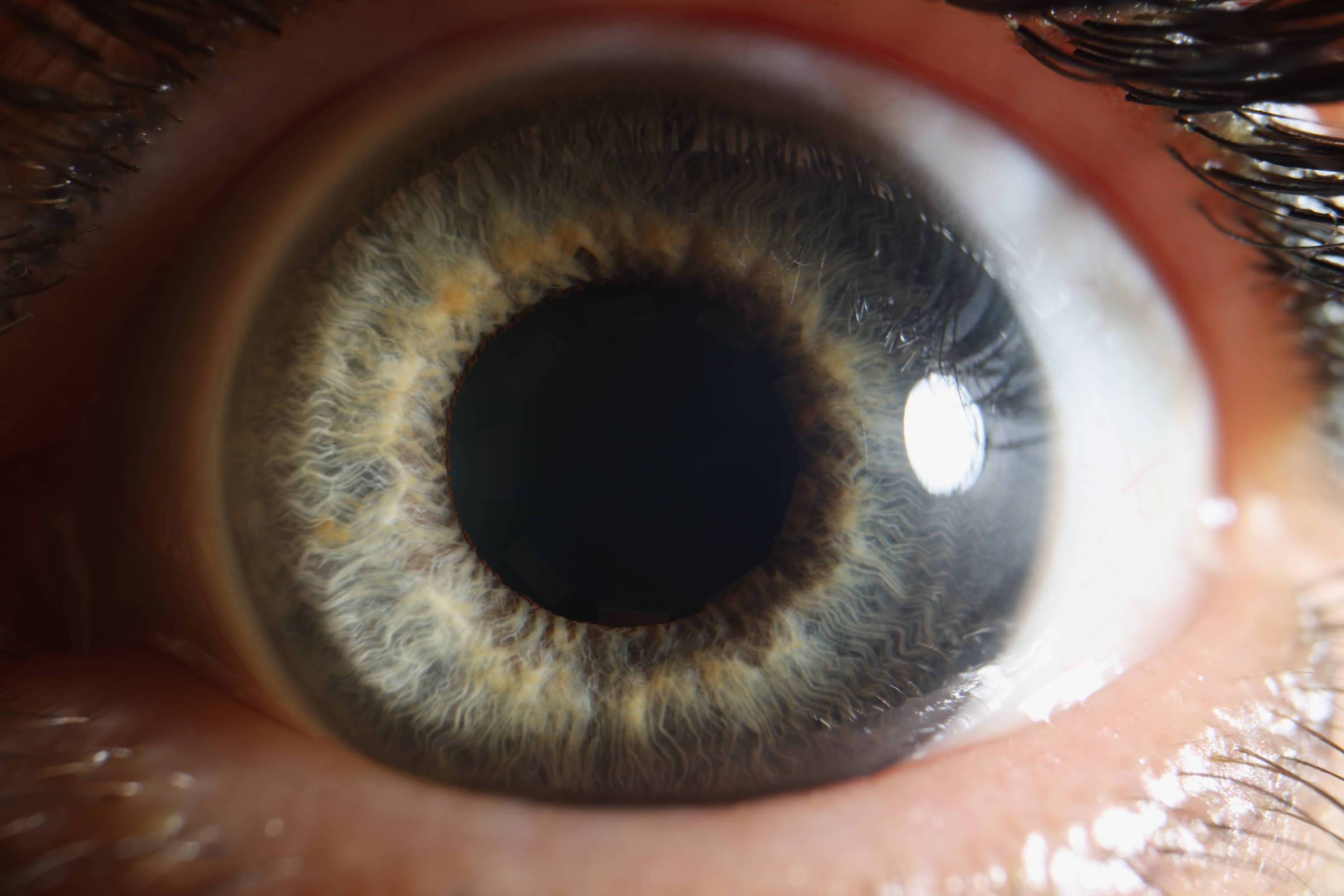 A imagem mostra um close-up de um olho humano, destacando a íris com uma coloração que varia entre tons de azul e marrom. O centro do olho é a pupila, que aparece como um círculo preto. A superfície do olho reflete a luz, criando um brilho visível. Os cílios são visíveis ao redor do olho, e a pele ao redor é clara.
