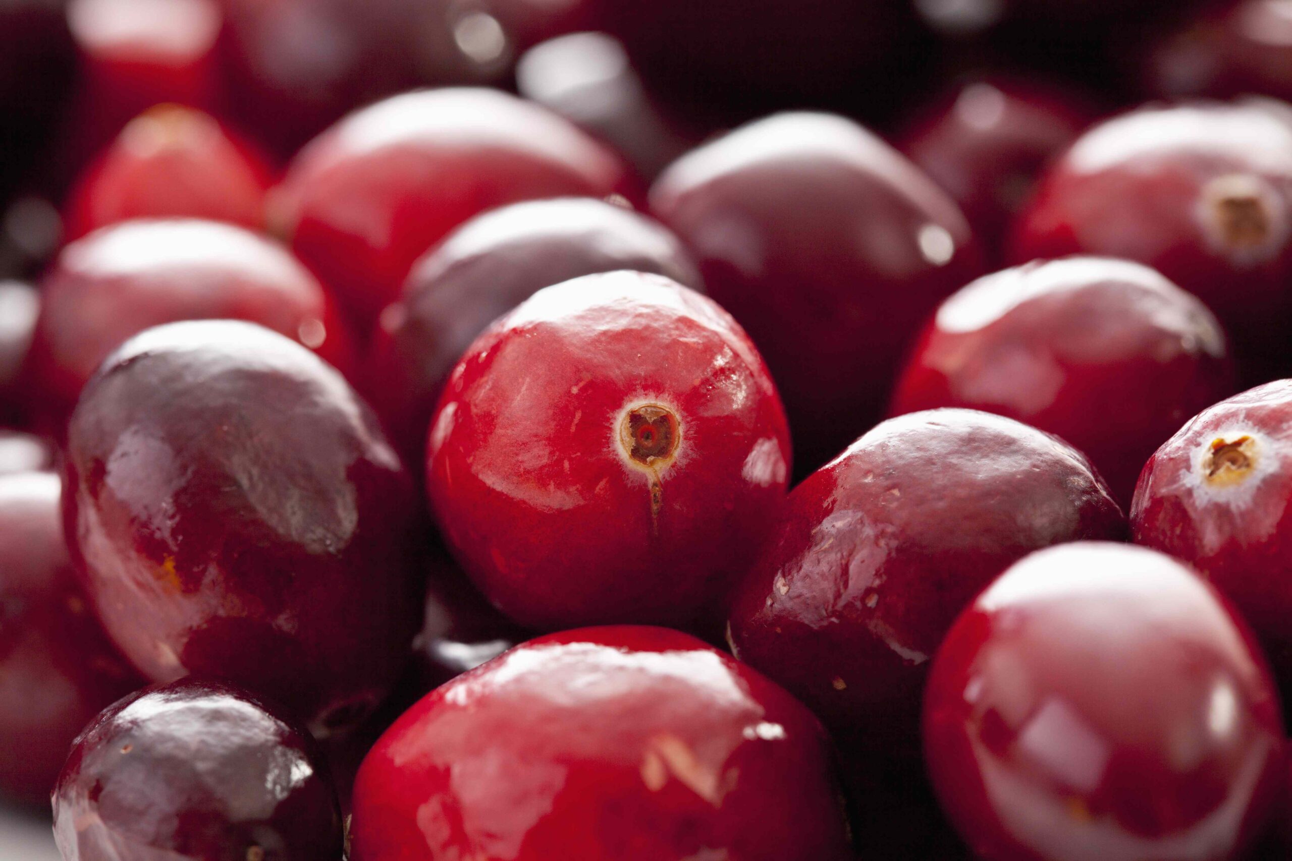 O que acontece com seu corpo quando você come cranberries regularmente