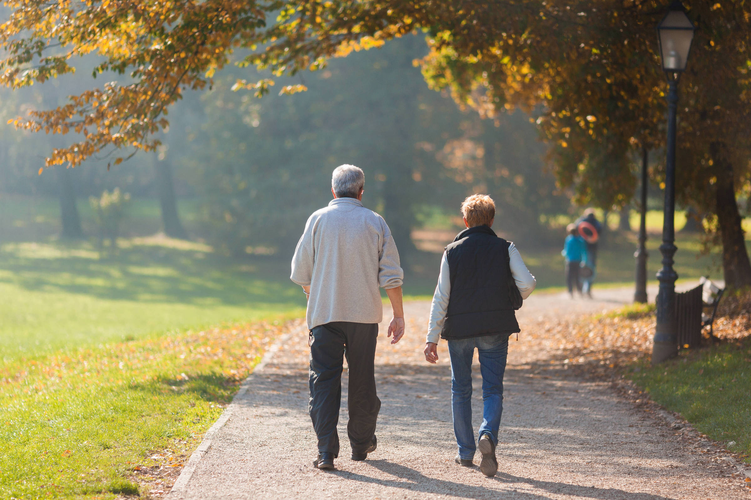 A imagem mostra um casal de idosos caminhando juntos em um caminho de parque. Eles estão de costas, com o homem usando uma camisa clara e a mulher vestindo um colete escuro. Ao fundo, há outras pessoas caminhando e árvores com folhas outonais. A luz do sol ilumina a cena, criando um ambiente tranquilo.