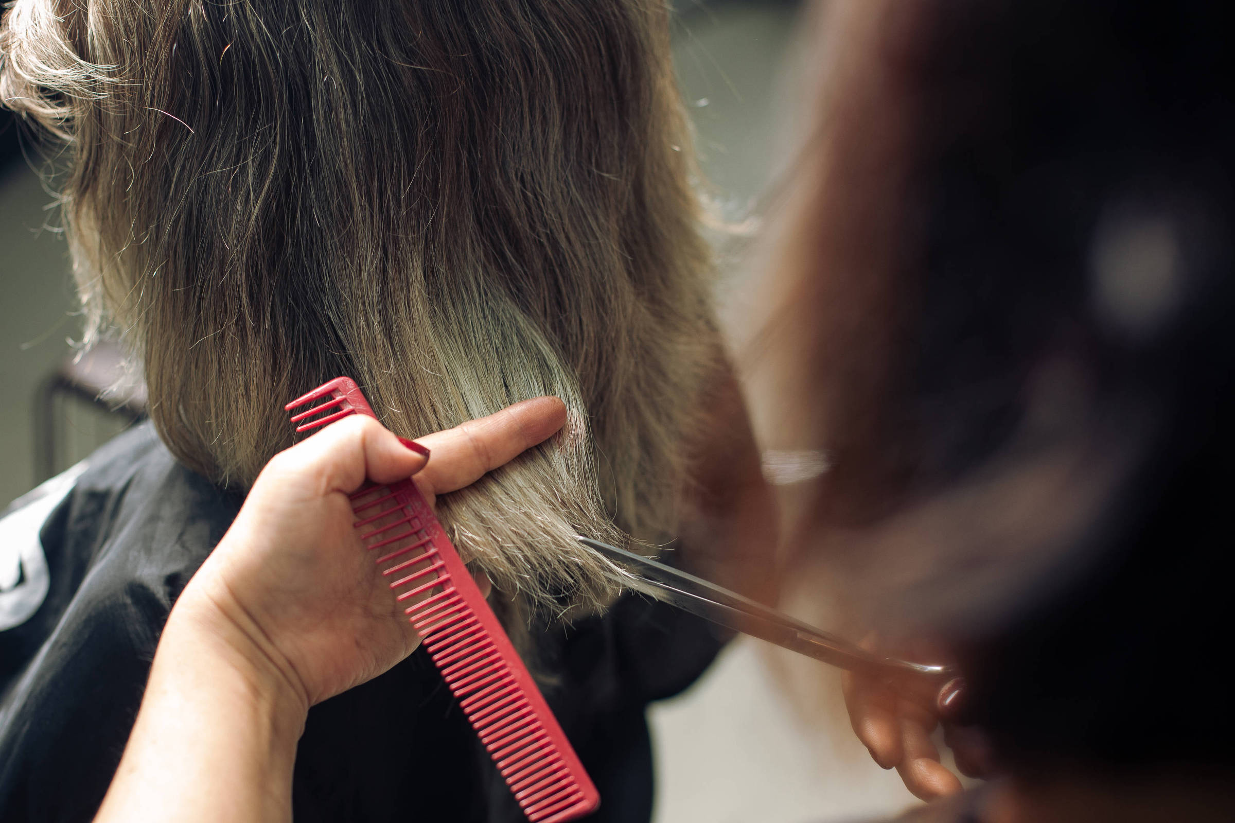 Cabeleireiro corta o cabelo de cliente com tesoura e pente vermelho, focando nas pontas do cabelo castanho claro.