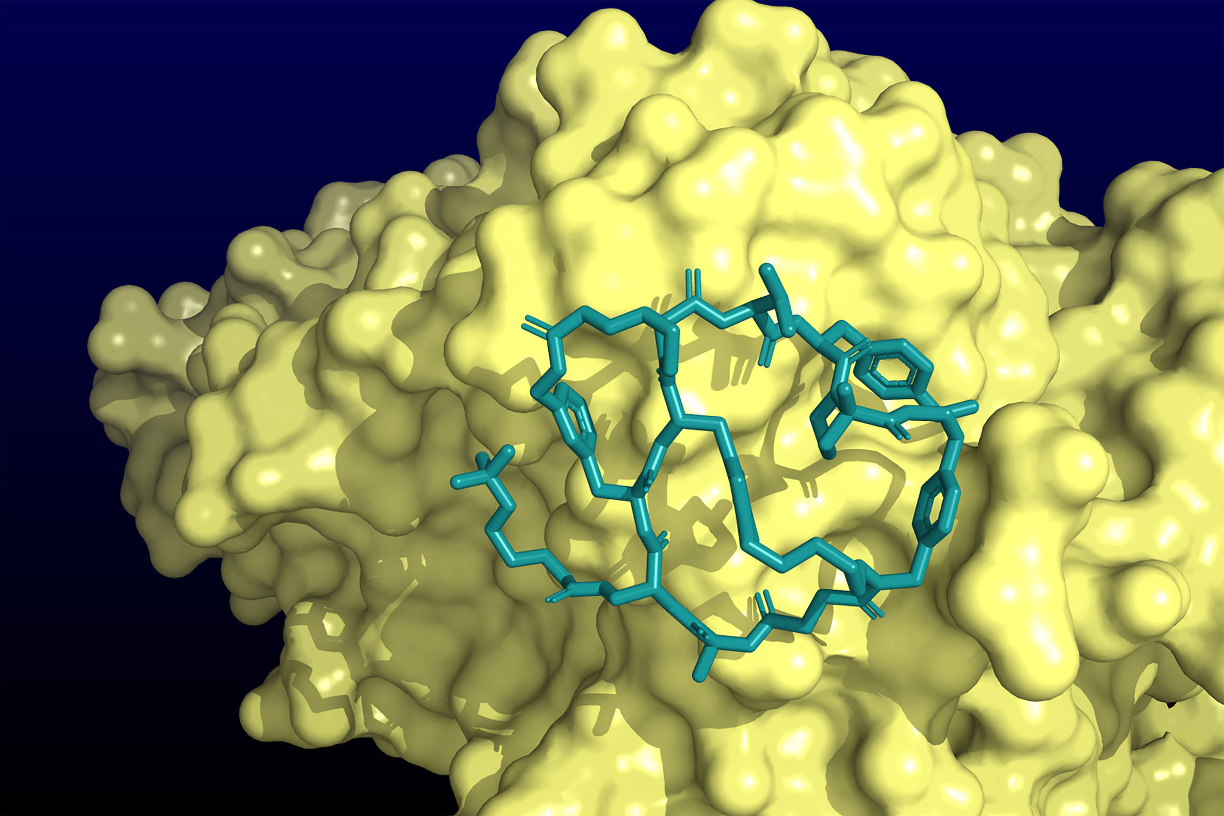 Representação tridimensional de uma proteína em amarelo com superfície rugosa, mostrando uma molécula ligante em azul destacada em seu interior.