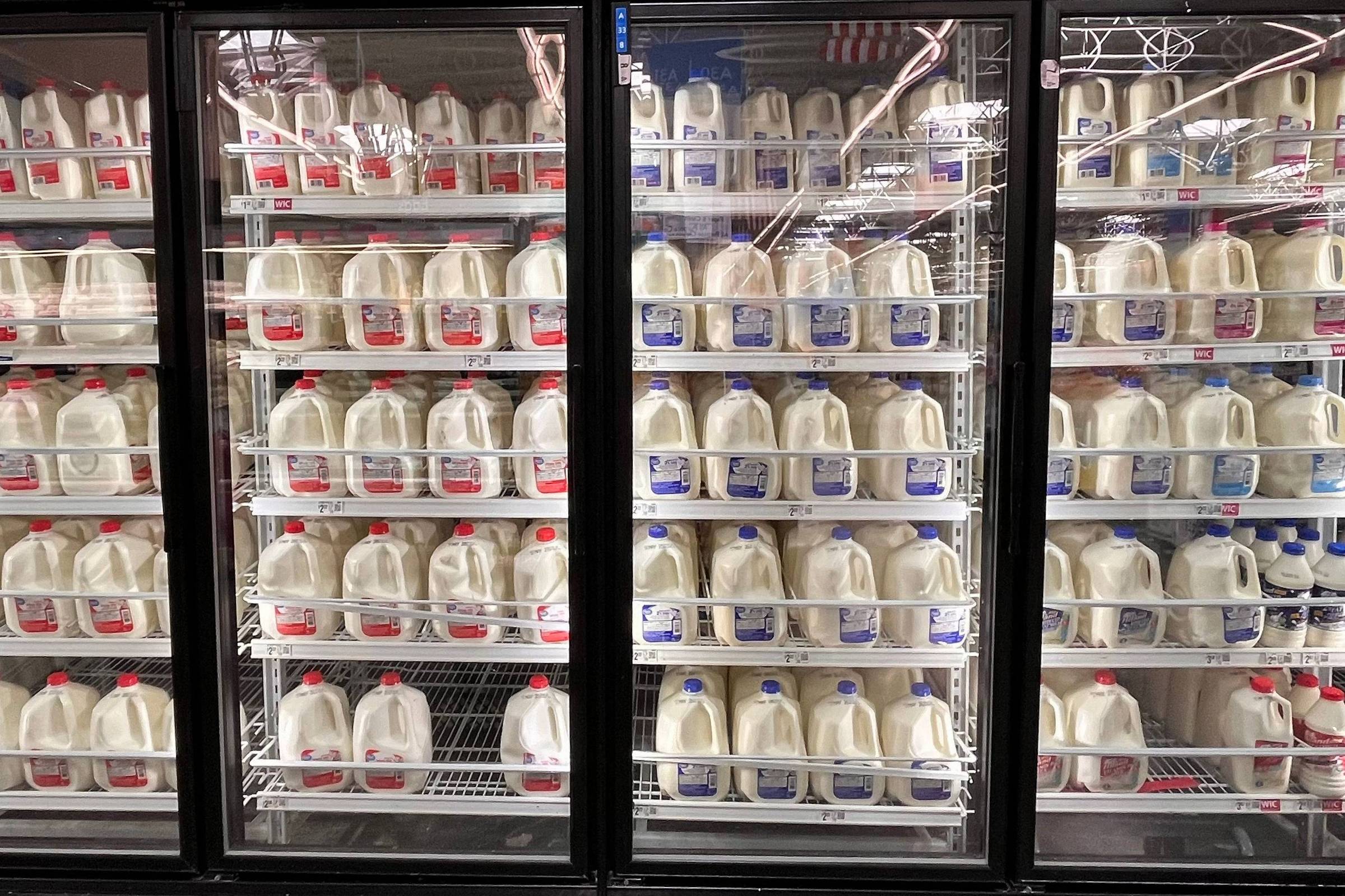 Ciência revê riscos dos laticínios integrais – 28/11/2025 – Equilíbrio