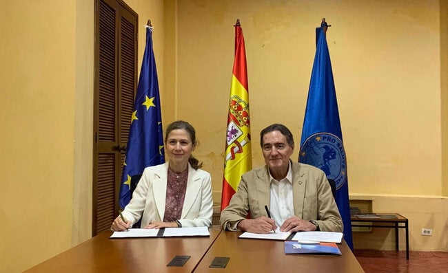 OPAS e Espanha fortalecem cooperação para melhorar a capacidade regulatória e ampliar o acesso aos serviços de saúde nas Américas - OPAS/OMS