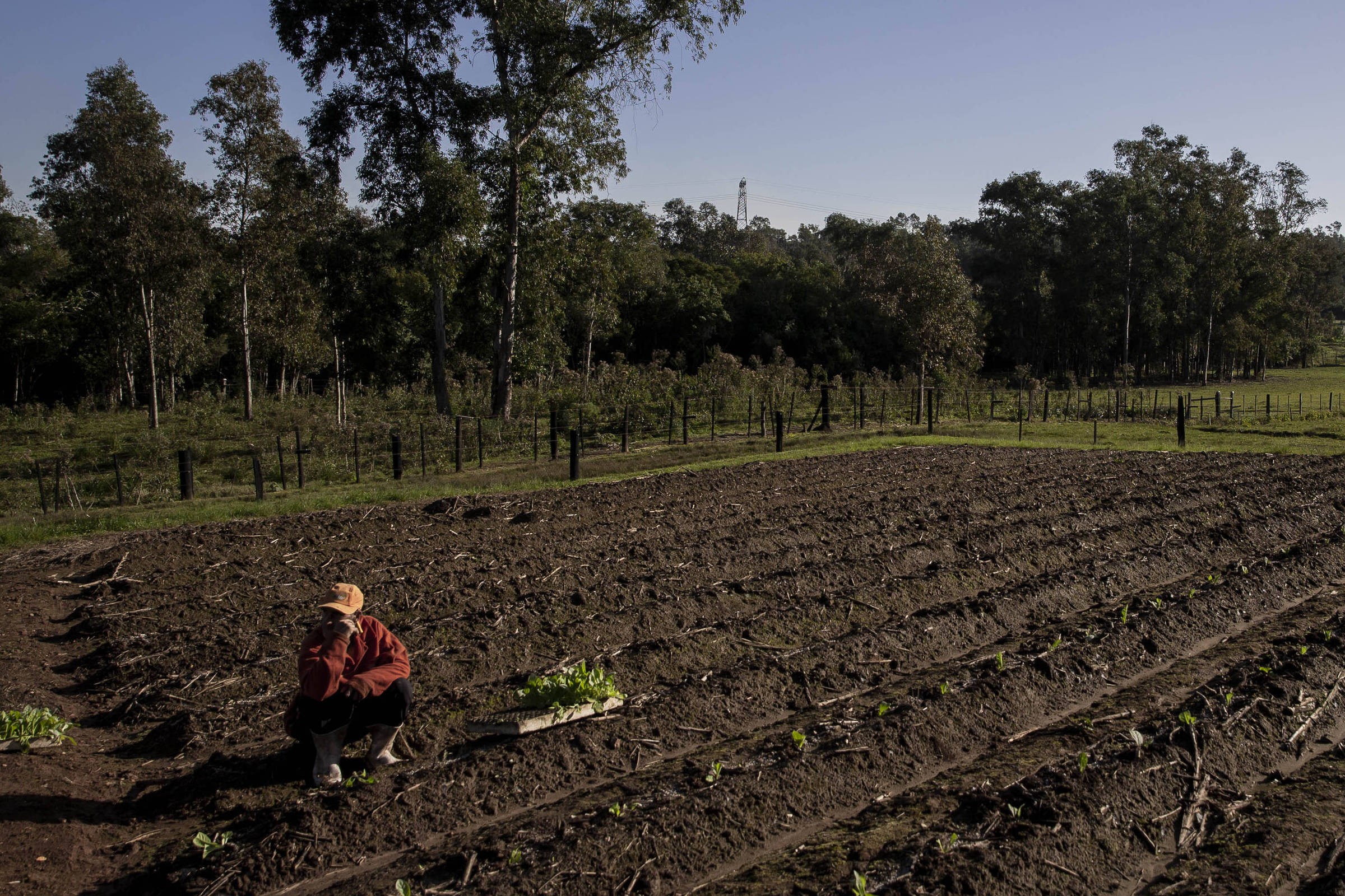 Saúde mental: Brasil tem explosão de depressão e suicídios - 17/07/2022 - Equilíbrio e Saúde