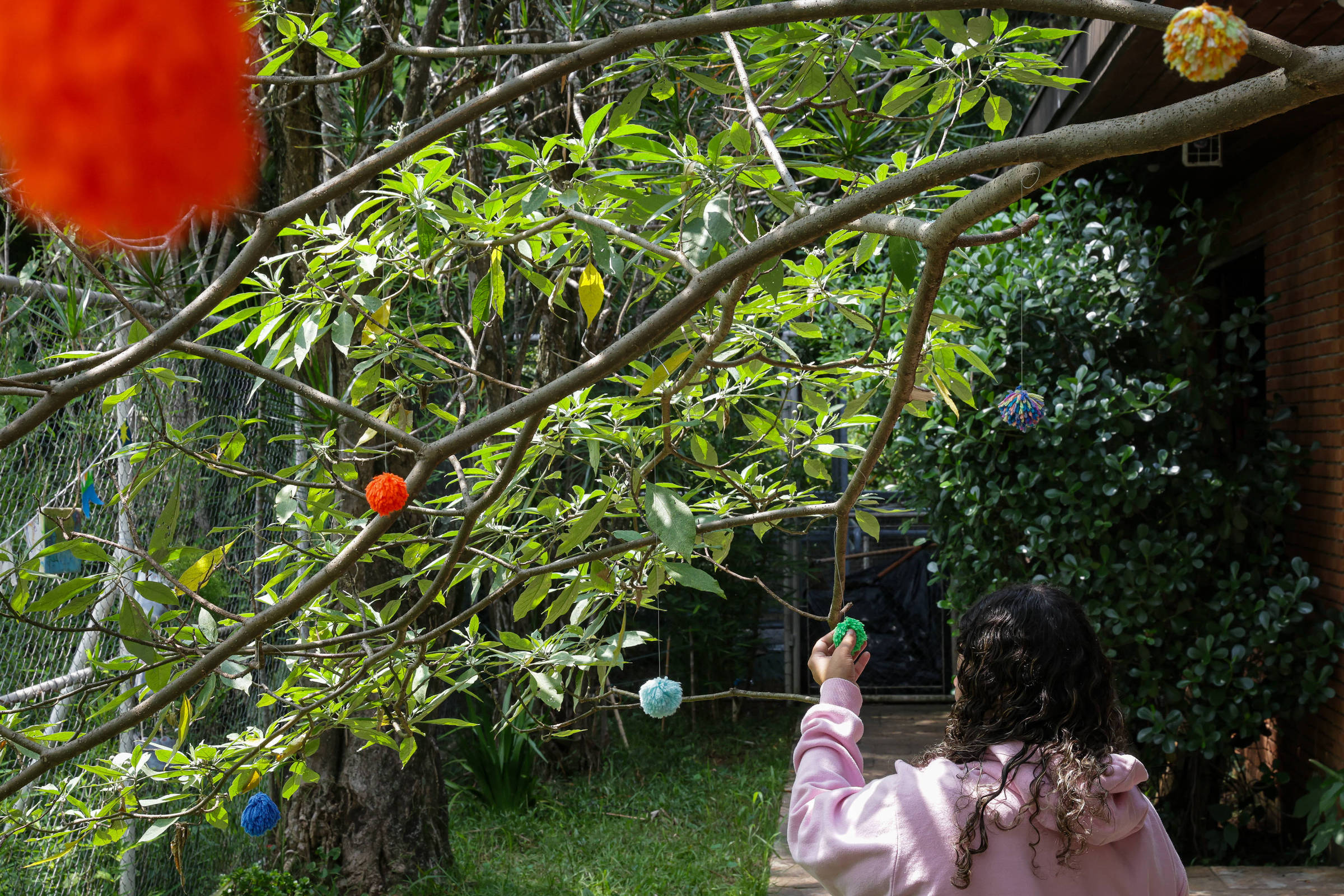 Criança de costas, vestindo moletom rosa, pendura enfeite verde em galho de árvore com folhas verdes. Galho tem vários pompons coloridos pendurados, em área externa com grama e muro de tijolos ao fundo.