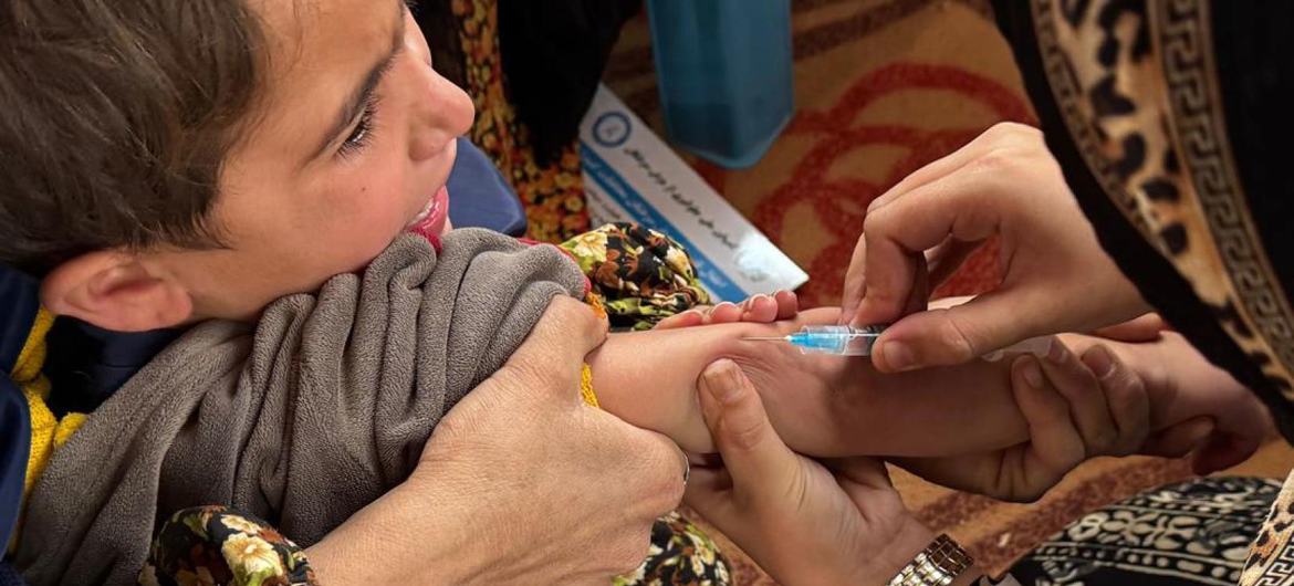 mídia: entermedia_image:6c31508f-3cc6-4f71-8ae4-a8859f124d2a