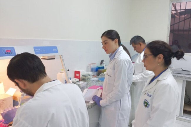 OPAS atualiza situação da dengue nas Américas e recomenda vigilância reforçada e preparação do sistema de saúde - OPAS/OMS